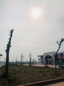 ẢNH TRỒNG CÂY KHU BA DƯ