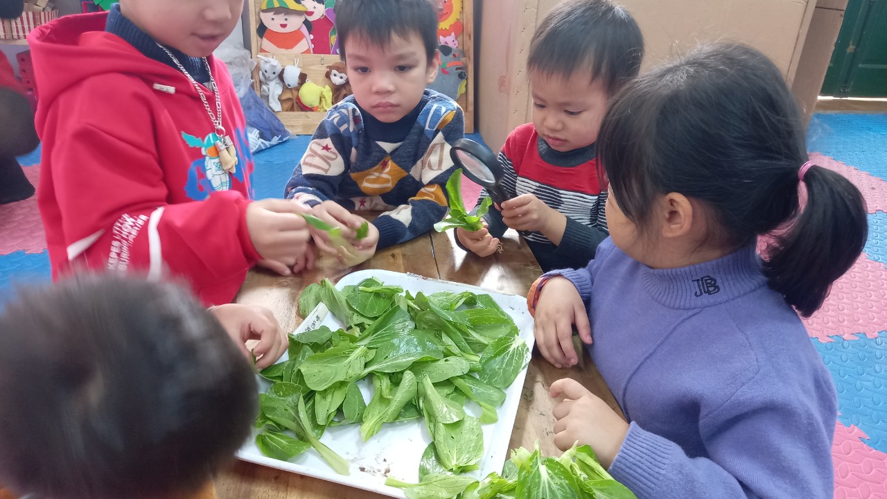 HOẠT ĐỘNG KHÁM PHÁ CỦA LỚP 4 TUỔI B2